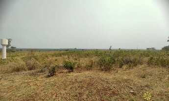 Imagem 5: Fazenda de 490 Hectares à venda em Marianópolis do Tocantins/TO