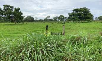 Imagem: Fazenda aberta à venda 350 Hectares em