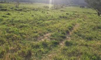 Imagem 7: W36-Lotes com topografia plaina