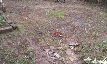 Imagem 3: Terreno para Venda e Locação em São Caetano do Sul/SP