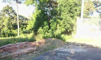 Imagem 6: Terreno para Venda em Quatro Barras, Jardim Orestes Thá