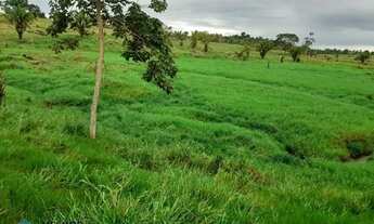 Imagem: Sitio 36,5 alqueires Jaru