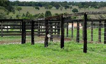 Imagem 4: Fazenda à venda, 6001600 m² por R$ 24.800.000,00 - Centro - Iturama/MG