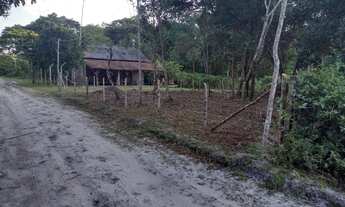 Imagem 6: Terreno para chácara