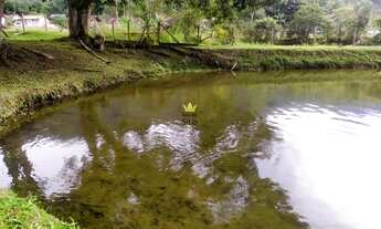 Imagem 2: Sítio Terreno para Sítio Guabiruba - SC - Aimoré
