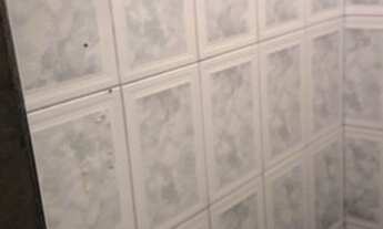 Imagem 5: Imóvel Comercial para Locação em Rio de Janeiro, CORDOVIL