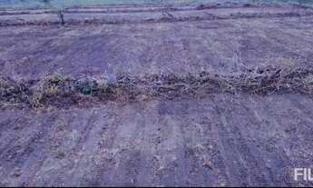 Imagem 6: Fazenda Para Lavoura Safra e Safrinha