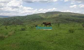 Imagem: Fazenda a venda - área real
