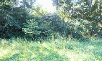 Imagem 6: Terreno para Venda em Quatro Barras, Jardim Orestes Thá