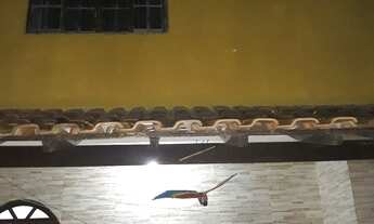 Imagem 7: Imovel excelente para toda a sua familia prox. Barbudo