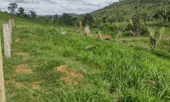 Imagem 2: Sitio 80 Alqueires Região de Cacaulândia
