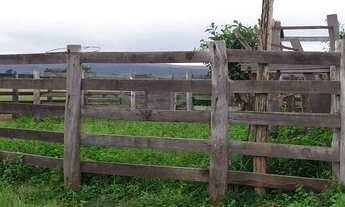 Imagem 7: EXCELENTE FAZ. MUNI. DE ROSARIO OESTE -MT