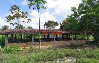 Imagem 7: Sítio com 5 dormitórios à venda, 19602 m² por R$ 180.000,00 - Zona Rural - Catu/BA