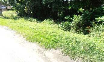 Imagem 4: Terreno para Venda em Quatro Barras, Jardim Orestes Thá