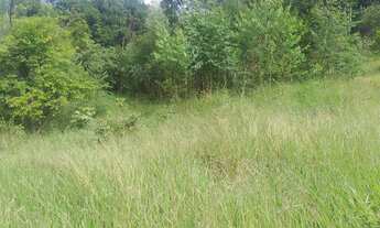 Imagem 6: Sítio 1 Alqueire Morungaba/SP/BR (Ric