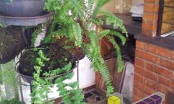 Imagem 15: PRAIA GRANDE - Residential / Home - VILA BALNEÁRIA