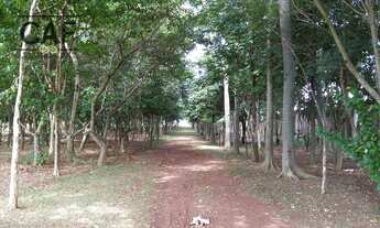 Imagem 7: Terreno à venda, 632 m² por R$ 474.173,00 - Centro - Holambra/SP