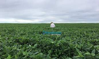 Imagem 2: Fazenda a venda - área rural