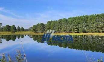 Imagem: Chácara a venda São José dos Pinhais