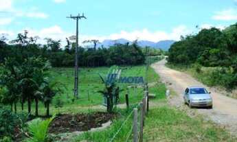 Imagem 6: Sítio Guaraqueçaba