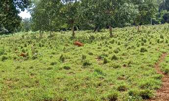 Imagem 6: VENDO SITIO NA REGIÃO DO SALTO DO ITIQUIRA GOIAS