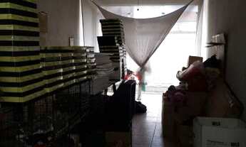 Imagem 7: Loja para alugar, 158 m² por R$ 4.500/mês - Fundação - São Caetano do Sul/SP