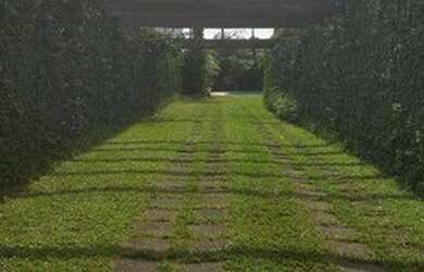 Imagem 2: Casa com 4 dormitórios à venda, 313 m² por R$ 870.000,00 - Suarão - Itanhaém/SP