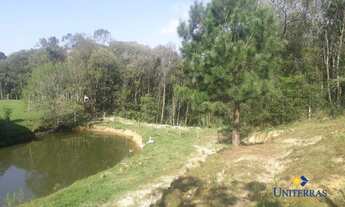 Imagem 5: Chácara com 4 dormitórios à venda, 21514 m² por R$ 1.214.000,00 - São Gabriel - Colombo/PR