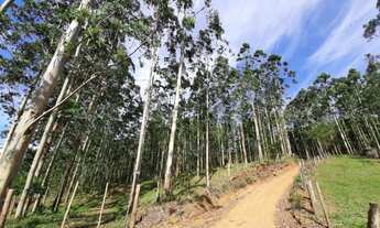 Imagem 7: Sítio para Venda em Imaruí, Centro