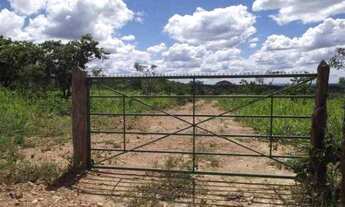 Imagem: Lindas fazendinhas de 20 mil metros 100