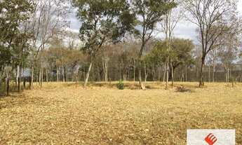 Imagem 7: Fazenda, 5 quartos à venda, 220000 m² por R$ 1.380.000 - Zona Rural - Caetanópolis/MG