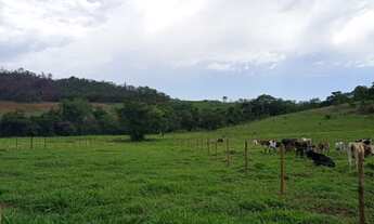 Imagem 2: CHÁCARA EM ANICUNS