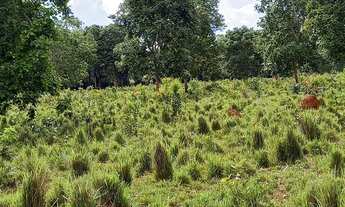 Imagem 5: VENDO SITIO NA REGIÃO DO SALTO DO ITIQUIRA GOIAS