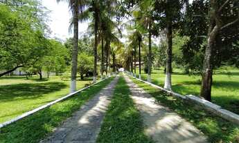 Imagem 3: Sítio para Venda em Saquarema, Sampaio Correa, 6 dormitórios, 1 suíte, 4 banheiros, 7 vaga