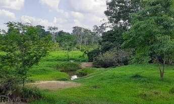 Imagem 4: Fazenda 127 alqueires Jaru