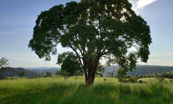 Imagem 4: SETE LAGOAS - Fazenda - Centro