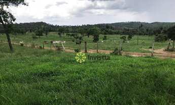 Imagem 5: Fazenda à venda, 580 Hectares em Miranorte do Tocantins