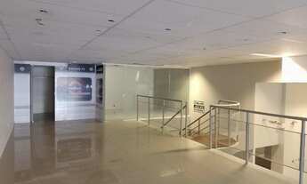 Imagem 7: Lojas para aluguel com 245m² no Caminho das Árvores