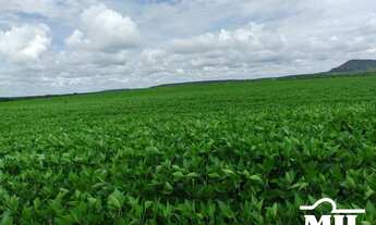 Imagem 7: Fazenda 1.933 alqueires (9355Hà) Goiatins - TO