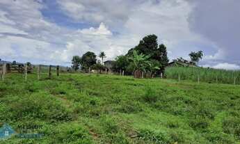 Imagem 7: Fazenda 150 alqueires Região de Ariquemes
