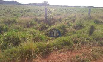 Imagem 10: Fazenda com 11 dormitórios à venda, 348480000 m² por R$ 400.000.000,00 - Zona Rural - Coca