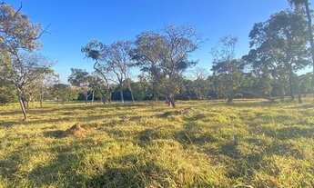 Imagem 5: Município de Piracanjuba GO porém fica a somente 18 km de Bela Vista de Goiás