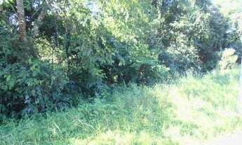 Imagem 7: Terreno para Venda em Quatro Barras, Jardim Orestes Thá