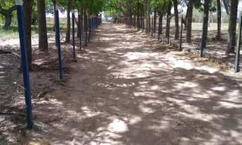 Imagem 3: Fazenda com 160 há e uma Bela estrutura. Riacho perene