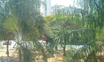 Imagem 6: Comercial-São Paulo-JARDIM PAULISTANO