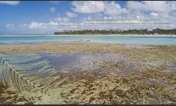 Imagem 7: More com uma estrutura de lazer e facilidades de um resort 5 estrelas