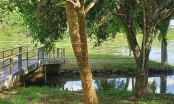 Imagem: Terreno Padrão em Caçapava