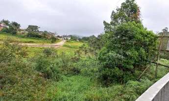 Imagem 5: Área Comercial Marginal Sul BR 101