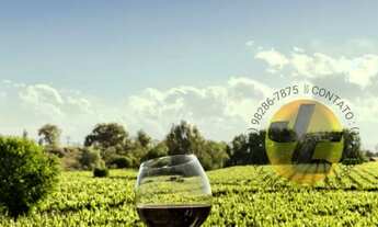 Imagem: Chácaras para construção de sítios em