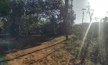 Imagem 2: Chácara na Rajadinha, lote de 1300 metros, 170.000